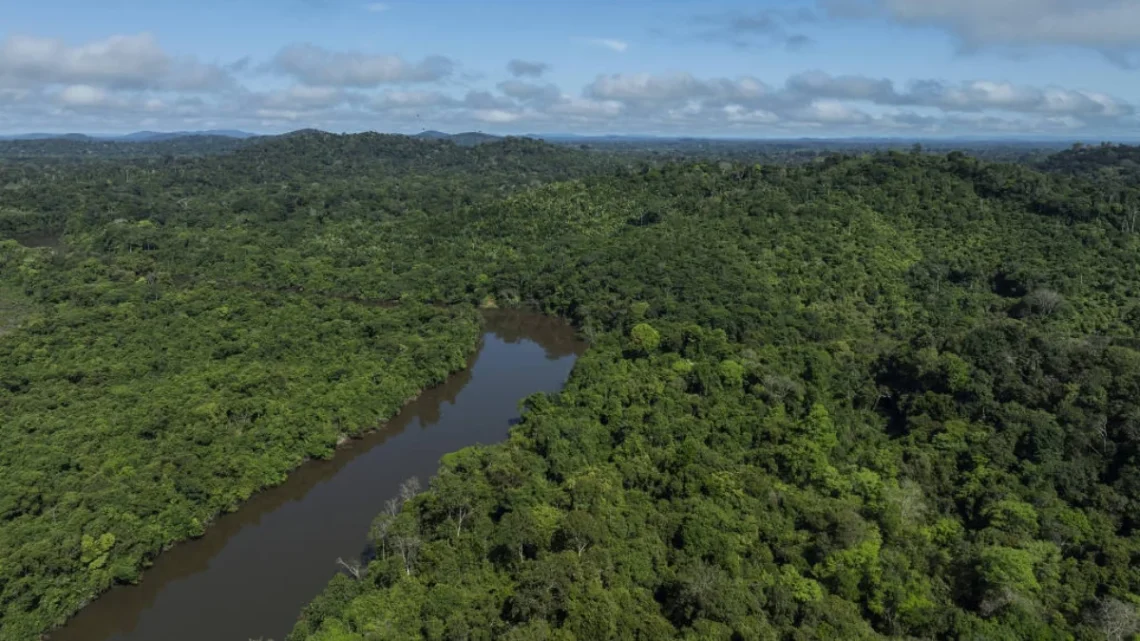 Vista aérea do Parque Nacional do Jamanxim, no Pará - Lalo de Almeida - 02.abr.25/Folhapress