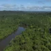 Amazônia reduz desmate e Cerrado avança