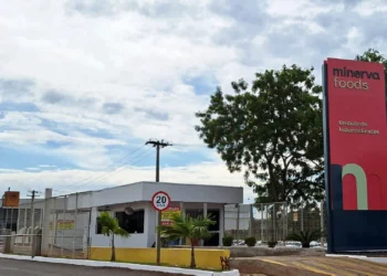 Minerva Foods investe em plataforma para impulsionar performance de mais 30 mil colaboradores