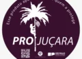 Fundação Florestal cria Selo Pró-Juçara para o incentivo à produção sustentável na Mata Atlântica