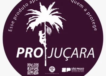 Fundação Florestal cria Selo Pró-Juçara para o incentivo à produção sustentável na Mata Atlântica
