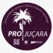 Fundação Florestal cria Selo Pró-Juçara para o incentivo à produção sustentável na Mata Atlântica