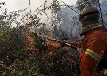 Projeto apoiado pela ADM fortalece prevenção de incêndio no Mato Grosso