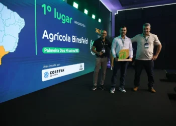 Produtores de milho do Sul registram novos recordes com lavouras acima de 360 sacas por hectare