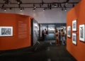 Zurich reforça agenda de sustentabilidade com patrocínio à exposição Amazônia