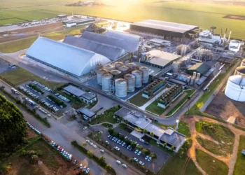 Amaggi compra fatia da FS e amplia aposta no etanol de milho