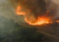 Incêndios florestais batem recorde global e El Niño pode agravar crise climática