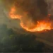 Incêndios florestais batem recorde global e El Niño pode agravar crise climática