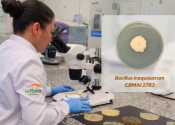 Bacilo de uso inédito no agro brasileiro amplia o combate biológico aos nematóides