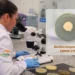 Bacilo de uso inédito no agro brasileiro amplia o combate biológico aos nematóides