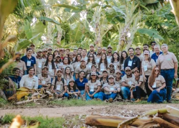 Nestlé e Ampliê abrem inscrições para nova turma do projeto Cacauicultores do Futuro, em Salvador