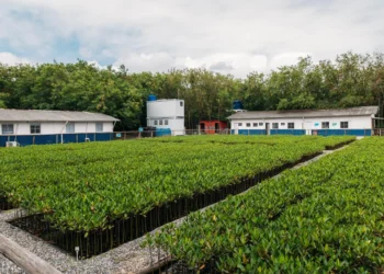 Iguá realiza 1ª Semana da Sustentabilidade para engajar colaboradores em práticas sustentáveis