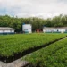 Iguá realiza 1ª Semana da Sustentabilidade para engajar colaboradores em práticas sustentáveis