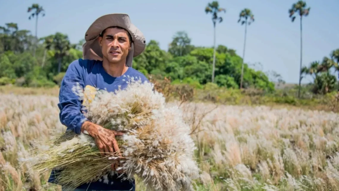 Foto de Associação Cerrado de Pé