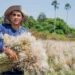 Coletores de sementes ajudam a preservar o Cerrado e recuperar áreas degradadas