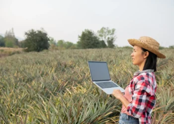 Safra recorde impulsiona contratações no agronegócio