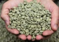 Mercado global de café verde registra avanço de 0,8% nas exportações