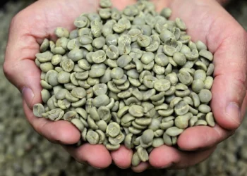 Mercado global de café verde registra avanço de 0,8% nas exportações