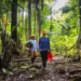 Cataratas do Iguaçu planejam investir R$ 600 milhões para ampliar turismo