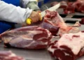 Vendas externas de carne bovina do Brasil devem recuar 10% em 2026, aponta Abiec