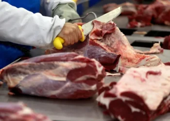 Vendas externas de carne bovina do Brasil devem recuar 10% em 2026, aponta Abiec