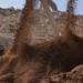 Massari Fértil e Morro Verde triplicam produção de FNR e fortalece indústria nacional de fertilizantes