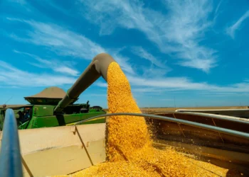 Mato Grosso deve ampliar produção de etanol em 16% na safra 2026/27, aponta Bioind-MT