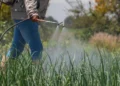 Câmara aprova equiparação de fertilizantes a minerais críticos
