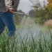 Câmara aprova equiparação de fertilizantes a minerais críticos