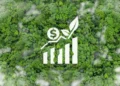 Brasil pode liderar mercado global de remoção de carbono com novas regras