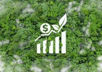 Brasil pode liderar mercado global de remoção de carbono com novas regras