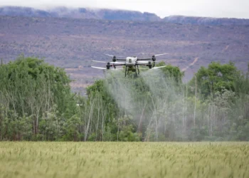 Agro conectado impulsiona avanço das AgTechs e atrai investidores