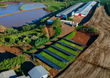 Empregos no Brasil 2026: agronegócio bate recorde de trabalhadores