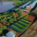 Empregos no Brasil 2026: agronegócio bate recorde de trabalhadores