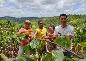 Amazonia Bio Group
