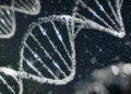 JPMorgan vê nova fase bilionária para biotech e reacende apostas em mRNA