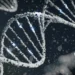 JPMorgan vê nova fase bilionária para biotech e reacende apostas em mRNA