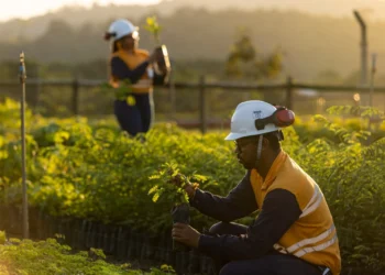 Appian e Atlantic Nickel investem mais de R$ 28,7 milhões em ações socioambientais 