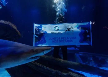 Grupo Oceanic e Fundação Projeto Tamar lançam projeto inédito no Sul do Brasil sobre a vida nas profundezas do oceano