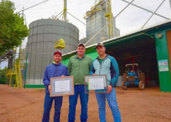 Milho brasileiro atinge novo patamar de produtividade e supera 369 sacas por hectare