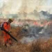 Setor florestal e governo unem forças em Minas para reforçar prevenção e resposta a incêndios