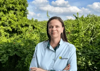 GeoApis quer proteger abelhas de agrotóxicos em 1,5 milhão de hectares