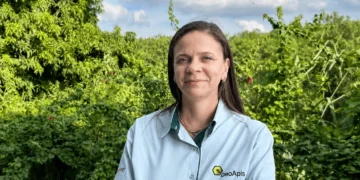 GeoApis quer proteger abelhas de agrotóxicos em 1,5 milhão de hectares