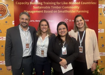 AMIF leva experiência do setor florestal mineiro para programa internacional de sustentabilidade na Indonésia