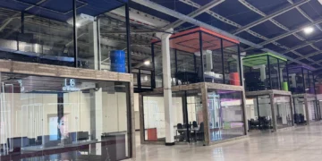 Lions aposta em startups em estágio inicial para formar a próxima geração de unicórnios