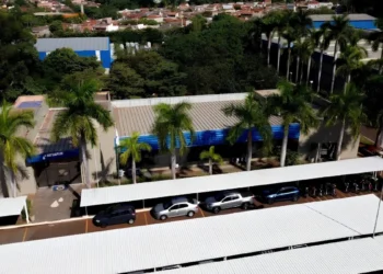Netafim projeta crescimento de até 15% no Brasil em 2026