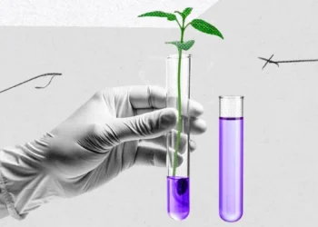 Brasil ganha protagonismo na formação dos preços globais de fertilizantes