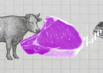 JBS amplia aposta nos EUA mesmo com crise no mercado de carne bovina