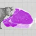 JBS amplia aposta nos EUA mesmo com crise no mercado de carne bovina