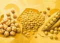 Autossuficiência em grão-de-bico e lentilha entra no radar do agro brasileiro